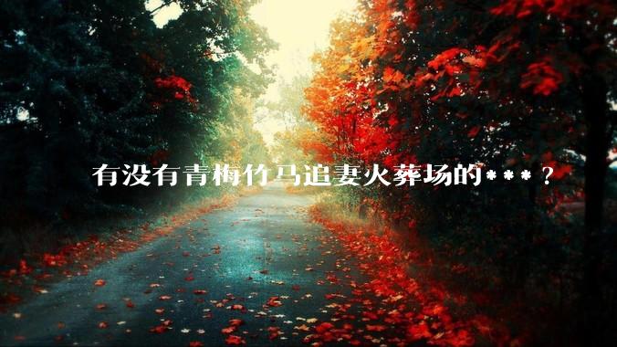 有没有青梅竹马追妻火葬场的***?
