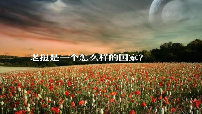 老挝是一个怎么样的国家？
